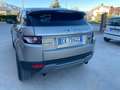 Land Rover Range Rover Evoque Range Rover Evoque 2.2 sd4 Prestige 190cv Oro - thumbnail 4