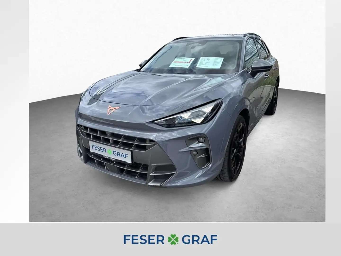 CUPRA Terramar 2.0 TSI 195 kW 4Drive VZ / HD-Matrix Grijs - 1