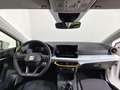 SEAT Ibiza 1.0 TSI S&S Style XM 115 Blanco - thumbnail 4