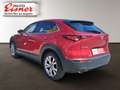 Mazda CX-30 G122 COMFORT AUT Rot - thumbnail 10