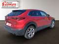 Mazda CX-30 G122 COMFORT AUT Rot - thumbnail 11