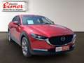 Mazda CX-30 G122 COMFORT AUT Rot - thumbnail 14