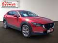 Mazda CX-30 G122 COMFORT AUT Rot - thumbnail 13