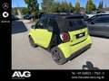 smart forTwo smart EQ fortwo cabrio NAVI|LED|16"|PDC|RFK Pulse Grün - thumbnail 4