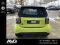 smart forTwo smart EQ fortwo cabrio NAVI|LED|16"|PDC|RFK Pulse Grün - thumbnail 7