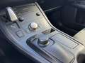 Lexus CT 200h Business Line TREKHAAK NAVI PARK-SENSOR CAMERA CRU Gris - thumbnail 21