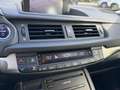 Lexus CT 200h Business Line TREKHAAK NAVI PARK-SENSOR CAMERA CRU Gris - thumbnail 23