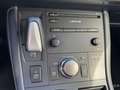 Lexus CT 200h Business Line TREKHAAK NAVI PARK-SENSOR CAMERA CRU Gris - thumbnail 22