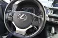 Lexus CT 200h Business Line TREKHAAK NAVI PARK-SENSOR CAMERA CRU Gris - thumbnail 31
