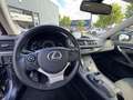 Lexus CT 200h Business Line TREKHAAK NAVI PARK-SENSOR CAMERA CRU Gris - thumbnail 16