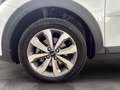 Kia Stonic GOLD UVO 1.0 TGDI DCT7 100 Weiß - thumbnail 6