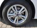 Ford S-Max 2,5 Duratec FHEV Titanium #ACC #ERGOSITZ Biały - thumbnail 14