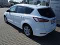 Ford S-Max 2,5 Duratec FHEV Titanium #ACC #ERGOSITZ Білий - thumbnail 5