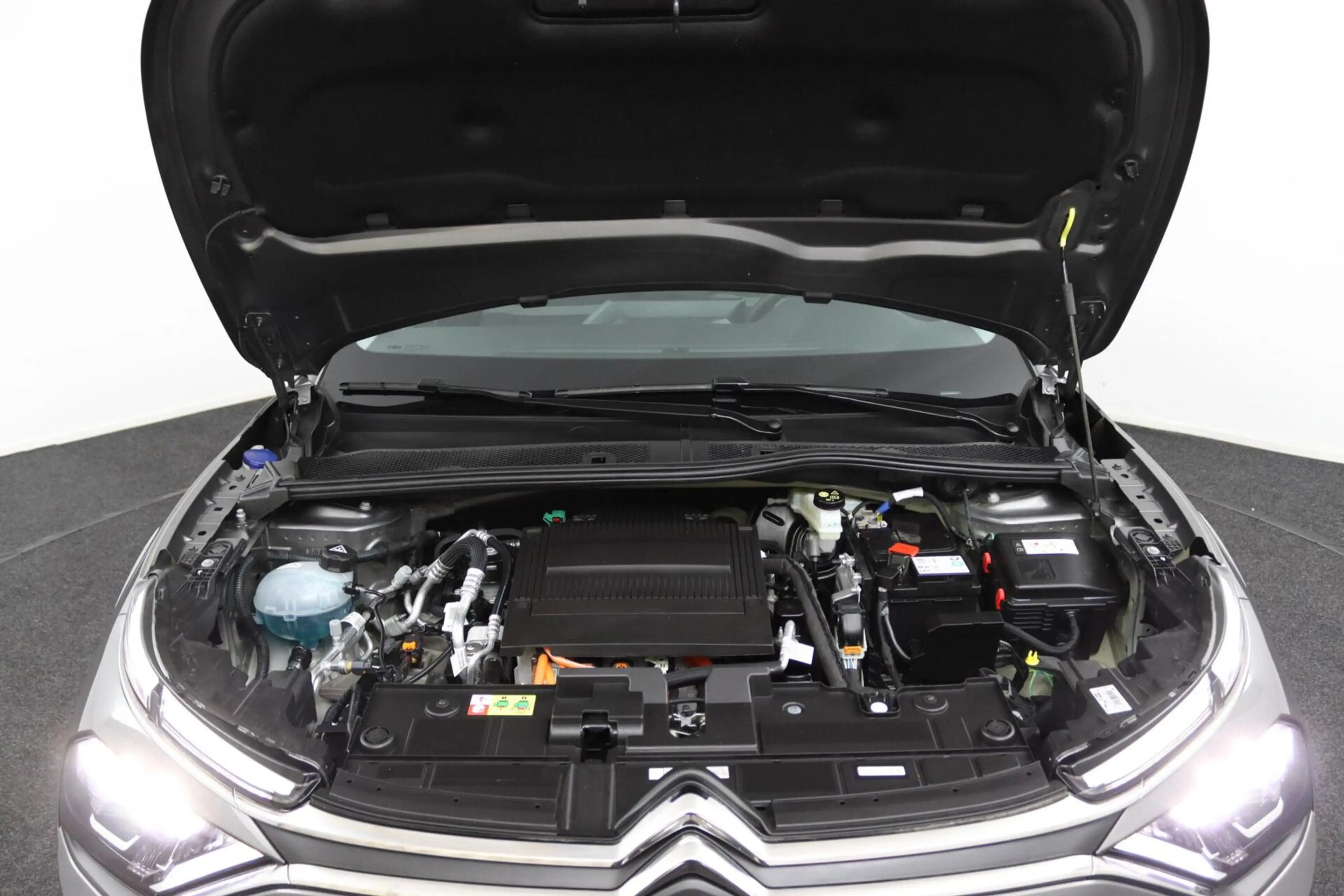 Citroen E-C4 Electric You 50 kWh — photo 39