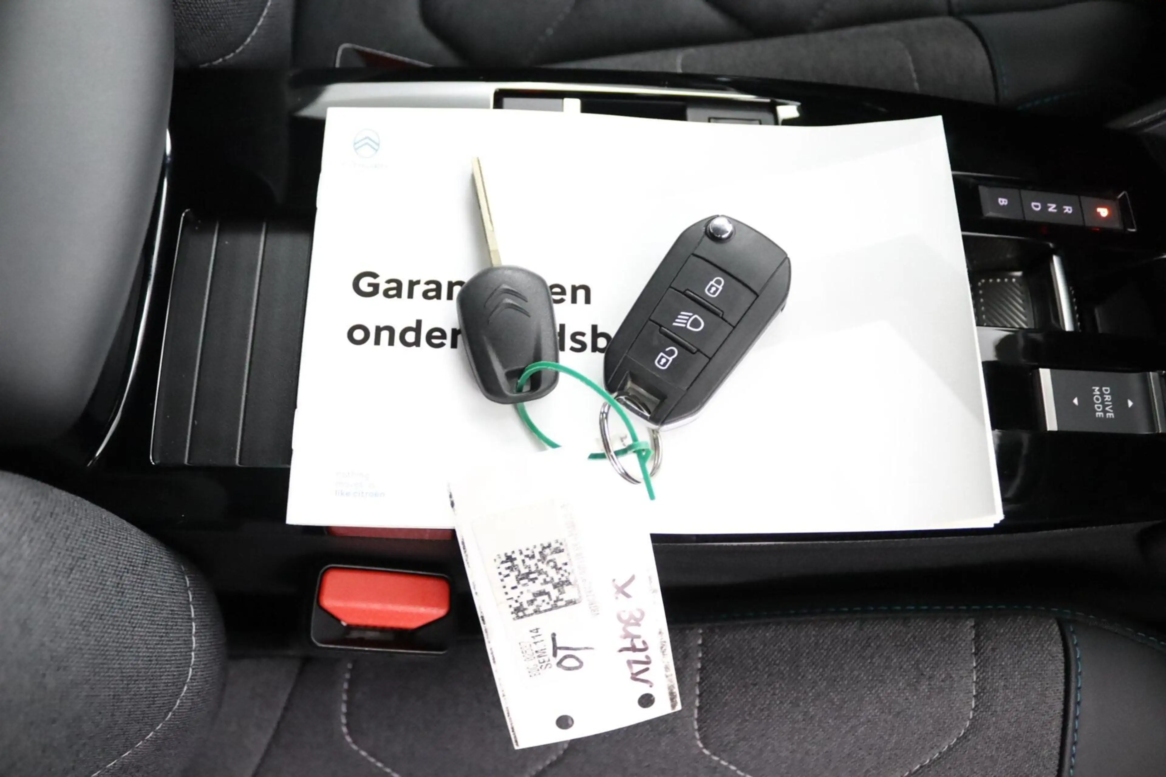 Citroen E-C4 Electric You 50 kWh — photo 40