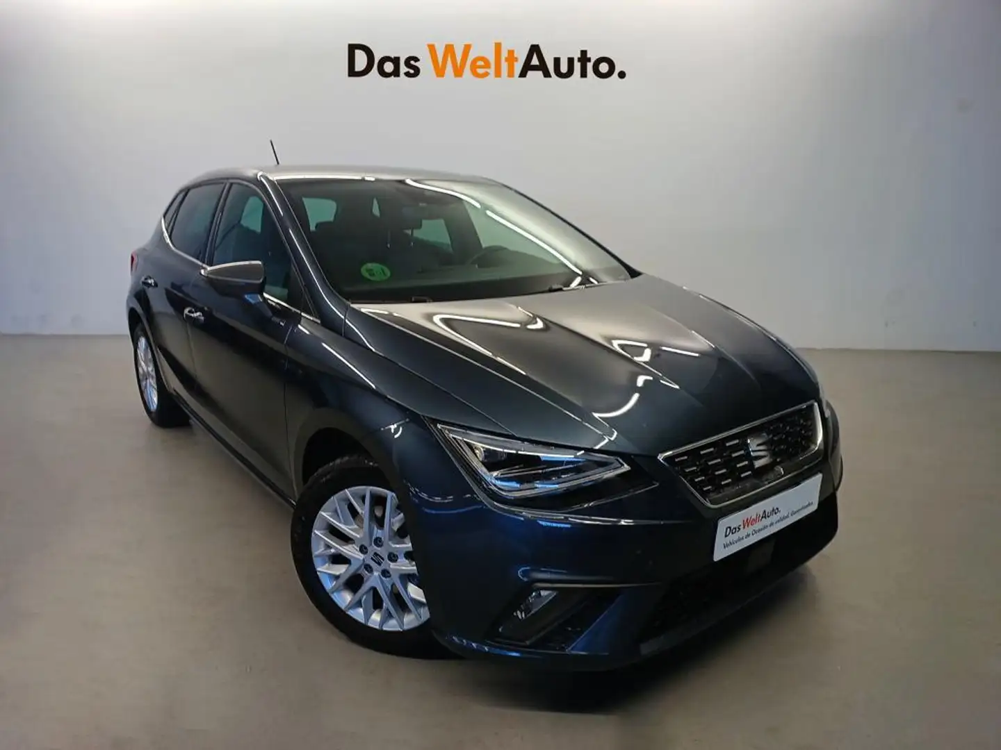 SEAT Ibiza 1.0 TSI S&S Special Edition 115 Gris - 1