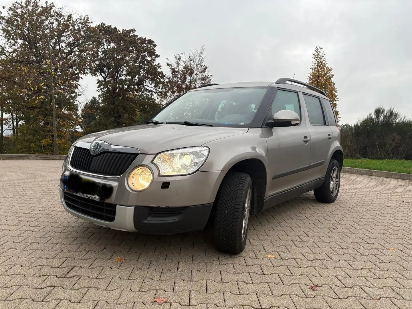 Skoda Yeti Yeti 2.0 TDI 4x4 Experience - 1