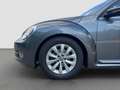 Volkswagen Beetle 1.2 TSI - 105 PS * Design * Grau - thumbnail 9
