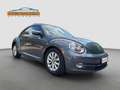 Volkswagen Beetle 1.2 TSI - 105 PS * Design * Grau - thumbnail 3