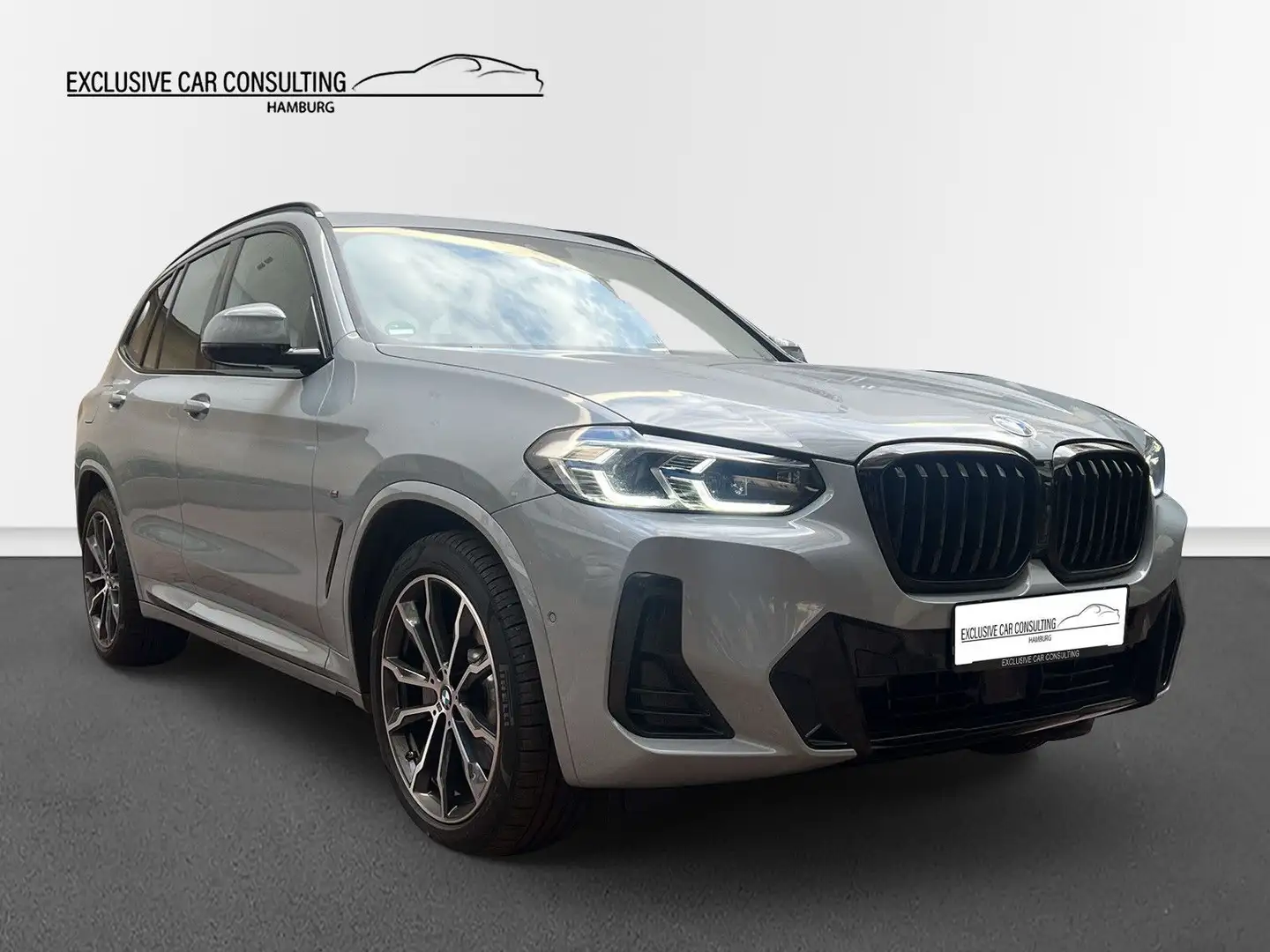 BMW X3 xDrive 30d M Sport *Pano *Headup *Memory Grau - 1