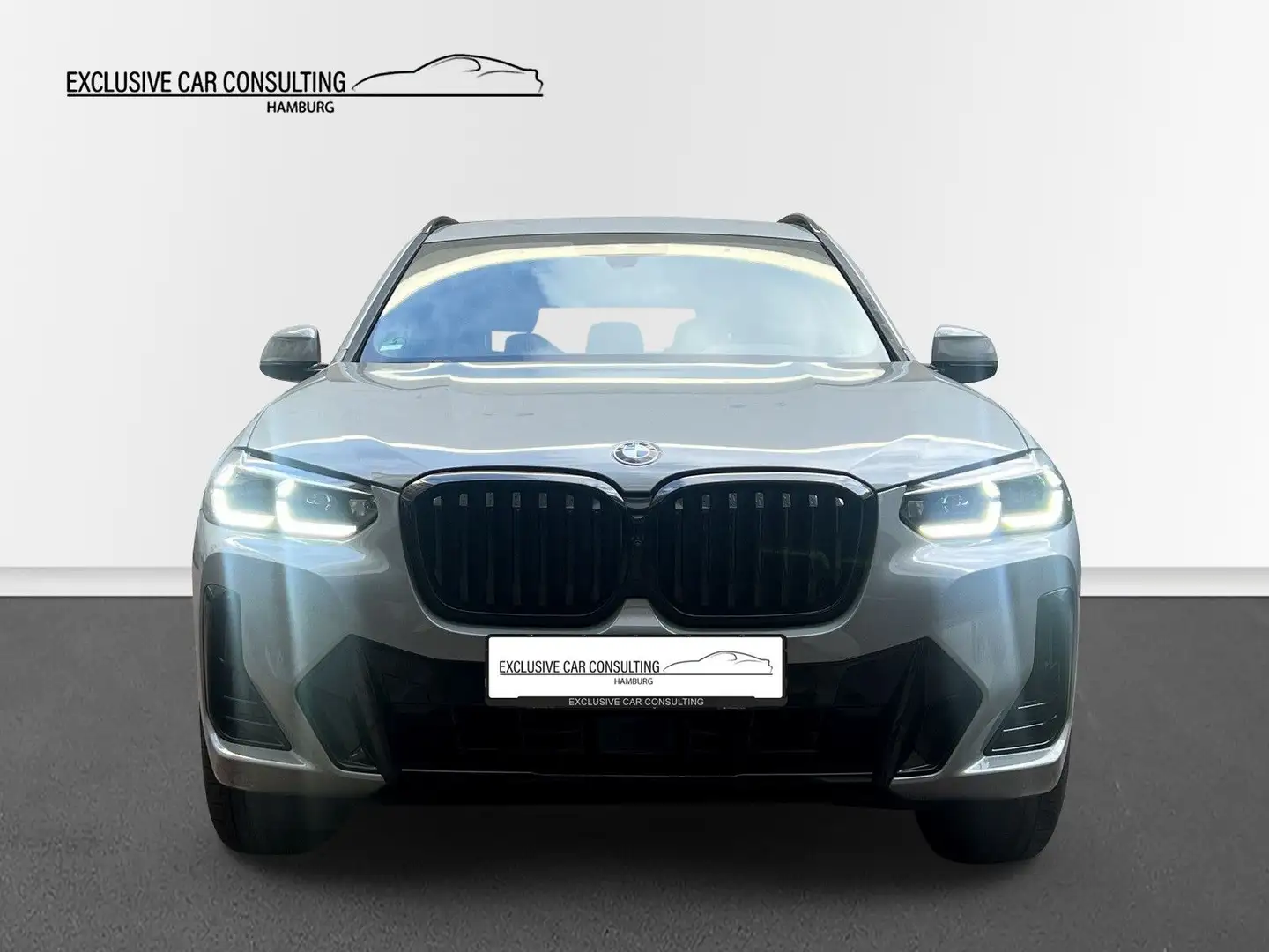 BMW X3 xDrive 30d M Sport *Pano *Headup *Memory Grau - 2