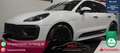 Porsche Macan GTS Standheizung+KAMERA+Panorama Blanc - thumbnail 1