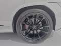 Lamborghini Urus S Blanco - thumbnail 24