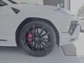 Lamborghini Urus S Blanco - thumbnail 34