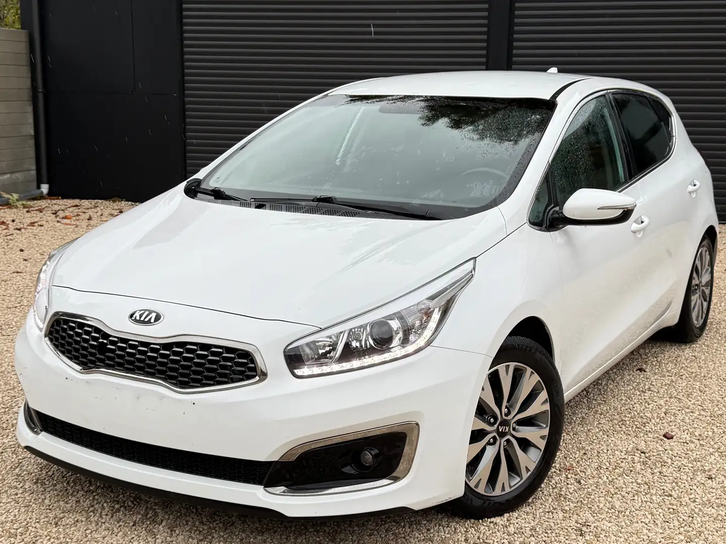 Kia Ceed / cee'd Cee'd 1.6 CRDi • NAVI • CAMERA • LED Wit - 1