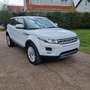 Land Rover Range Rover Evoque 2.2 TD4 4WD Prestige AUT.,10/2012 118.000km - thumbnail 5