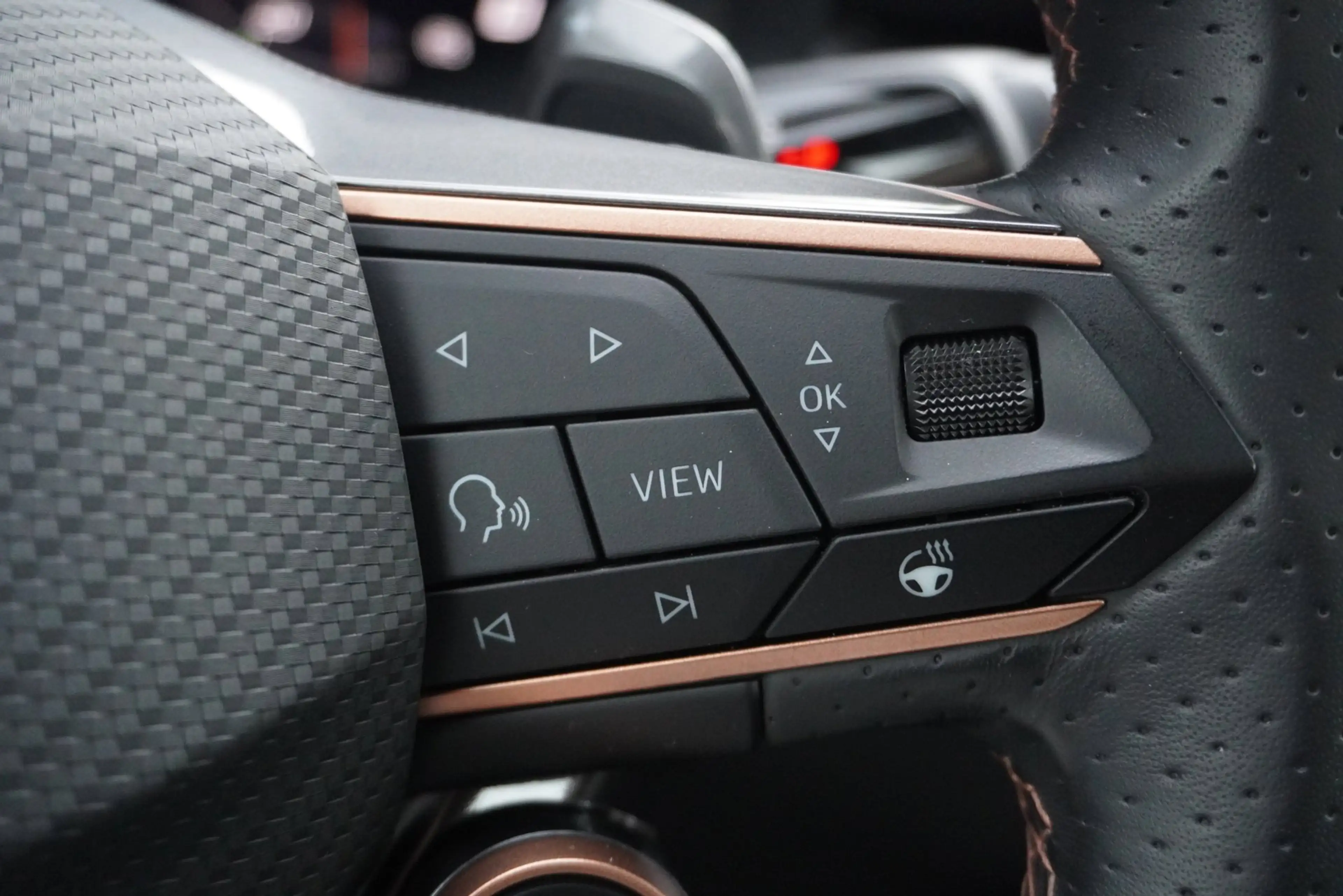 CUPRA Terramar 1.5 TSI e-Hybrid VZ America s CUP Camera/Pano.dak/ — photo 18