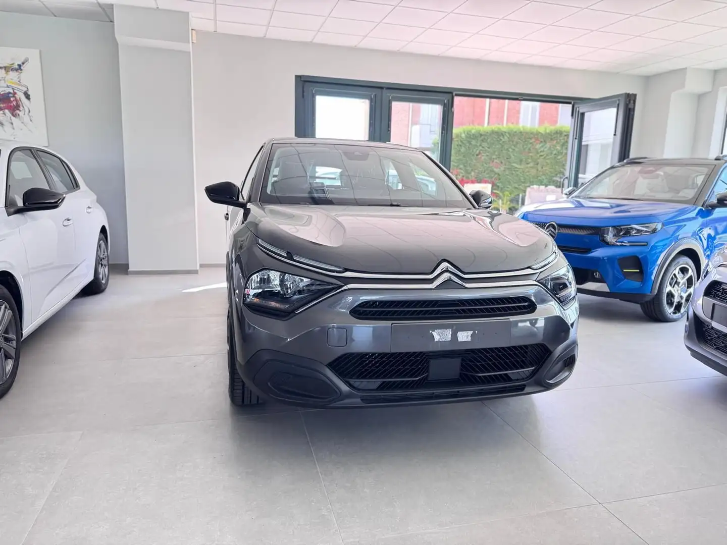 Citroen C4 C4 PureTech 100 S&S You Grau - 2