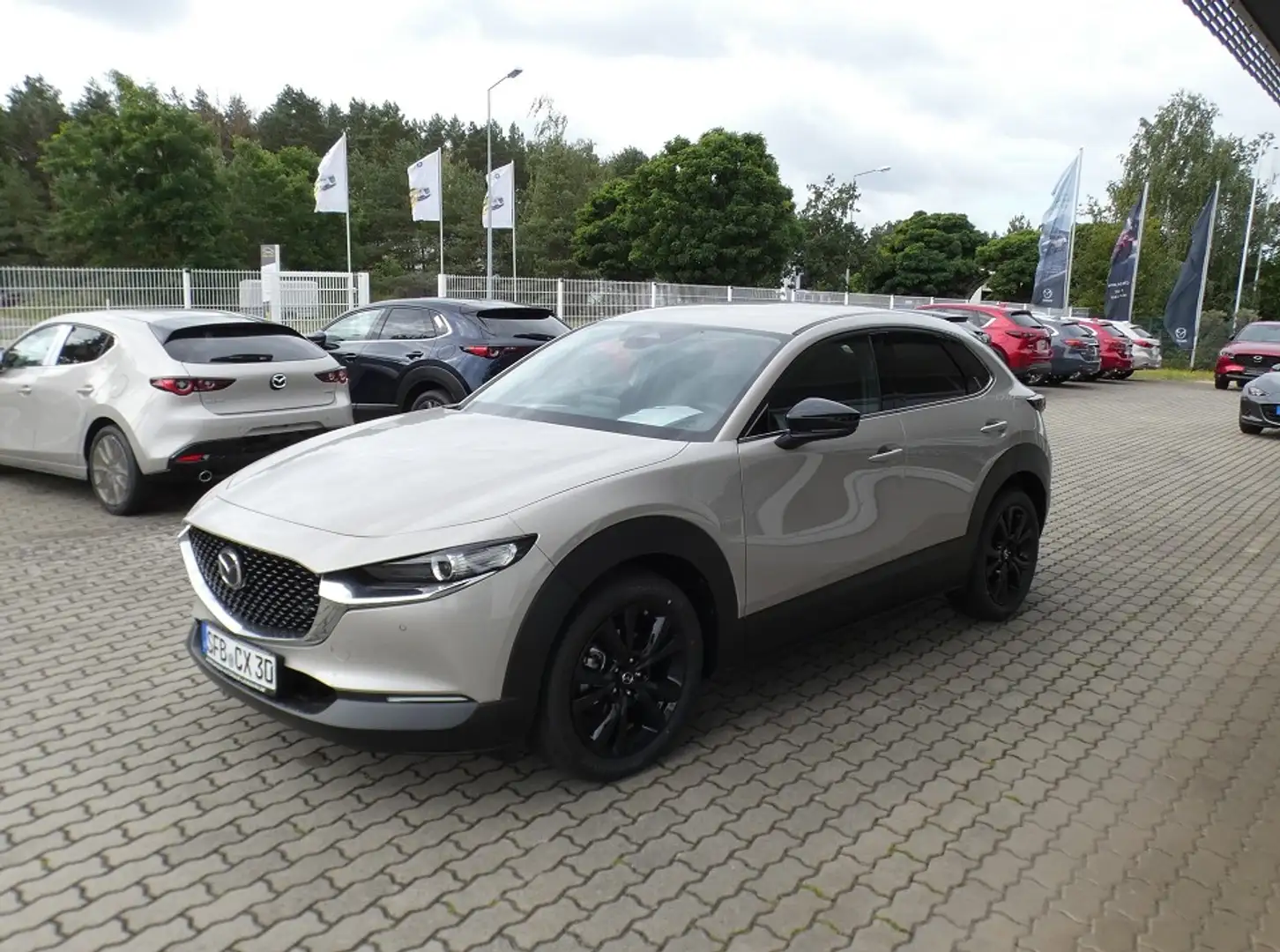 Mazda CX-30 2.0L e-SKYACTIV G 122ps 6MT FWD Homura Marrón - 2