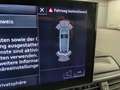 Audi A4 Avant 40TDI quattro S tronic LED Navi SHZ PDC Weiß - thumbnail 15