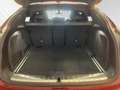 BMW X4 xDrive20d M Sport|AHK|Pano|Head-Up|20"LMR Rot - thumbnail 15
