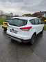 Ford Kuga 2,0 TDCi Trend 4x4 Weiß - thumbnail 2