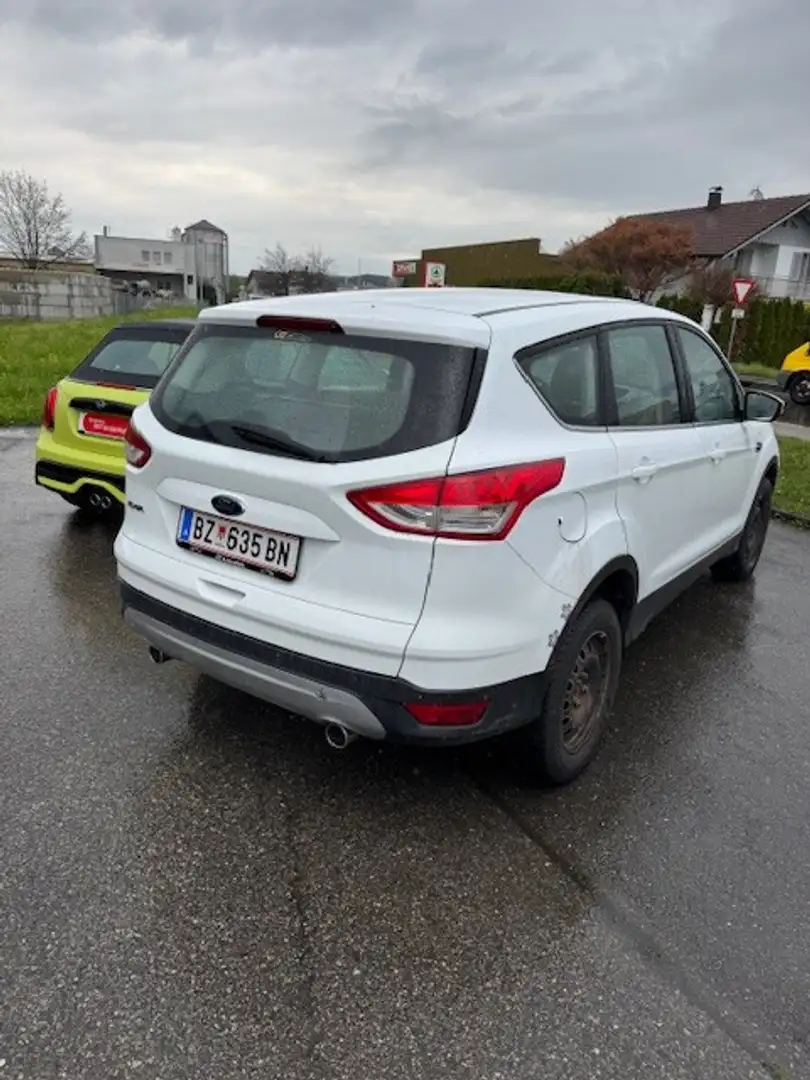 Ford Kuga 2,0 TDCi Trend 4x4 Weiß - 2