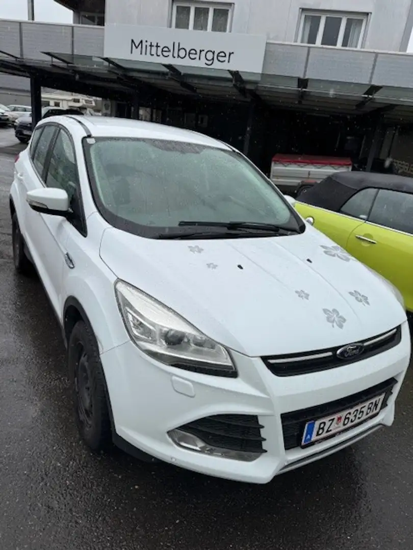 Ford Kuga 2,0 TDCi Trend 4x4 Weiß - 1