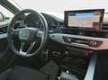 Audi S4 TDI quattro*Navi*Matrix*Alu*HUD*B&O*PDC Grau - thumbnail 6