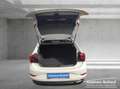Volkswagen Polo Life 1,0 TSI+80Ps+LED+Klima+Sitzh.+Einparkh Blanco - thumbnail 12