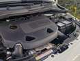 Fiat 500 Cabrio Anniversario Wit - thumbnail 21