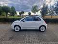 Fiat 500 Cabrio Anniversario Wit - thumbnail 3