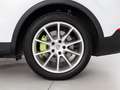 Porsche Cayenne E-Hybrid Aut. Blanco - thumbnail 22
