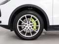 Porsche Cayenne E-Hybrid Aut. Blanco - thumbnail 23