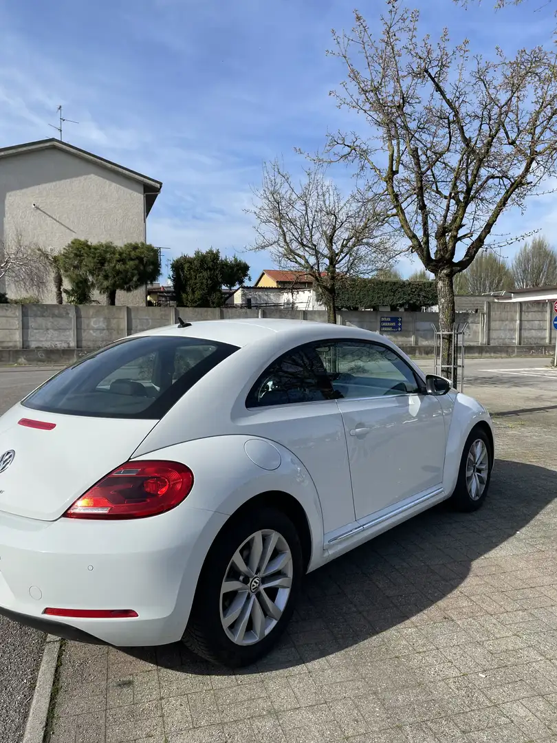 Volkswagen Maggiolino 2.0 tdi bm Design 110cv dsg - 2