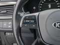 Kia Sorento 2.2 CRDi GT-Line 4WD LED PANO 360° Grau - thumbnail 14