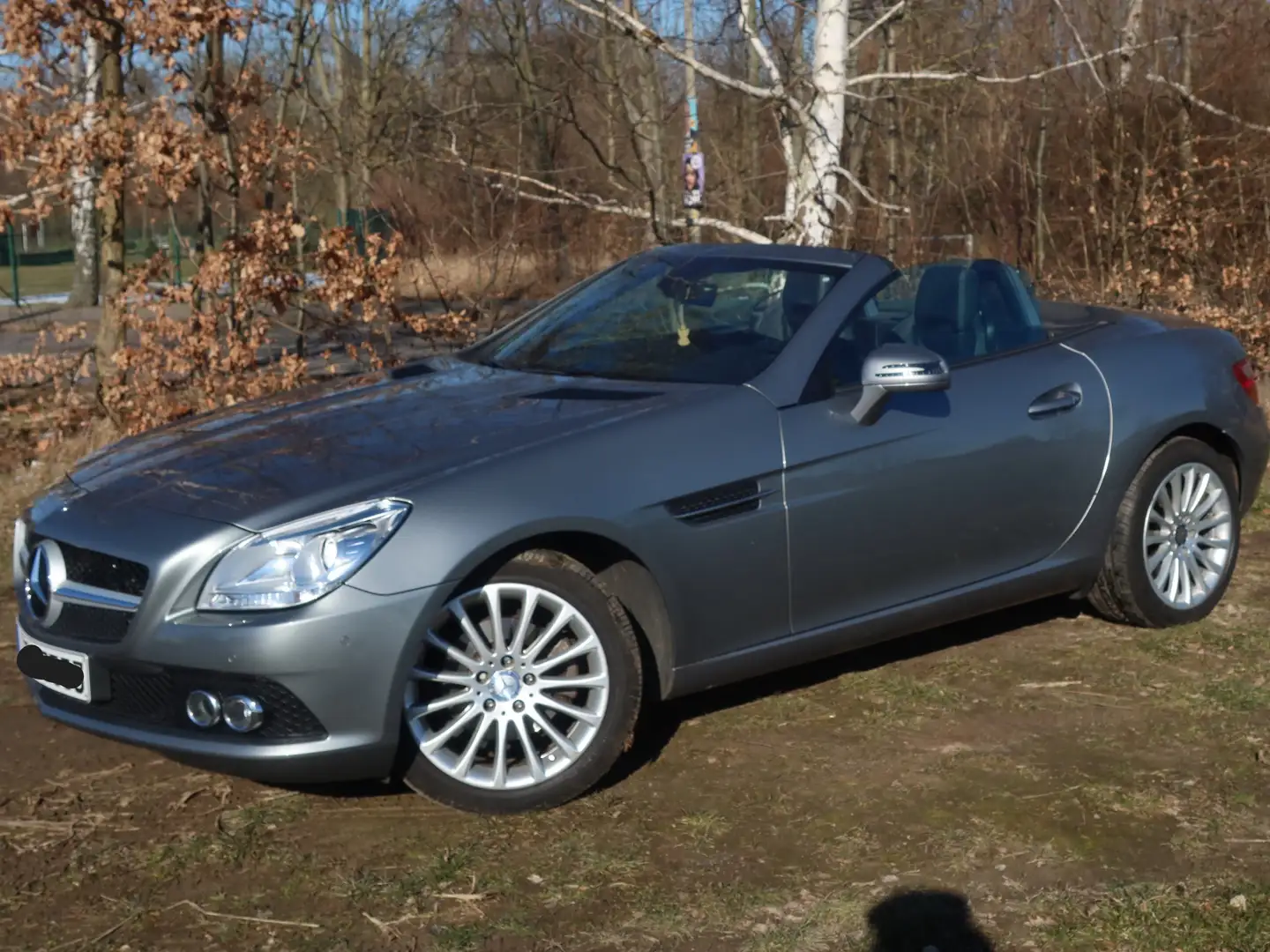 Mercedes-Benz SLK 200 SLK 200 (BlueEFFICIENCY) 7G-TRONIC Silber - 1