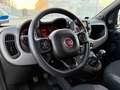 Fiat Panda Panda 1.0 FireFly S&S Hybrid Sport 2022 Grigio - thumbnail 14