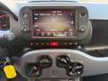 Fiat Panda Panda 1.0 FireFly S&S Hybrid Sport 2022 Grigio - thumbnail 15