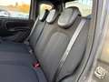 Fiat Panda Panda 1.0 FireFly S&S Hybrid Sport 2022 Grigio - thumbnail 12